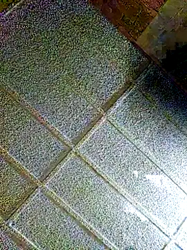 zaneporter46 online show from 02-04-25, 08:59