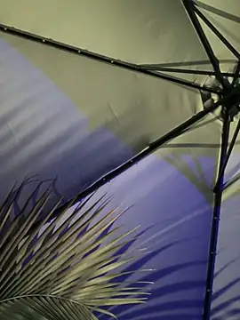 Mariapaula online show from 03-07-25, 12:58