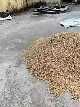 Snapshot of sweet_suman chatting on 01-18-25, 11:21 sweet suman online show from 01-18-25, 11:21