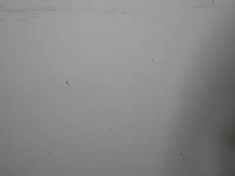 Snapshot of GoddessGlide chatting on 03-16-25, 11:16 GoddessGlide online show from 03-16-25, 11:16