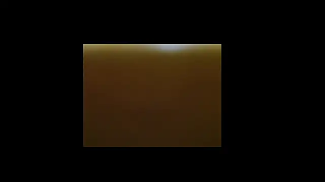 berberson online show from 12-30-24, 08:43