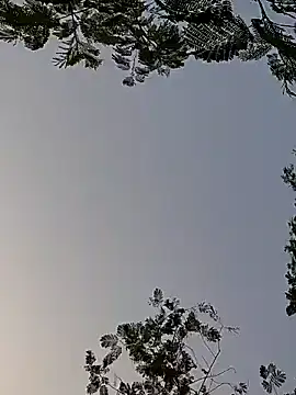 Snapshot of Whitehouse01 chatting on 12-29-24, 01:56 Whitehouse01 online show from 12-29-24, 01:56