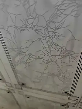 Snapshot of dreamers_dick chatting on 01-02-25, 05:24 dreamers dick online show from 01-02-25, 05:24