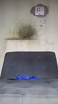 Kaizer1 online show from 10-14-25, 06:20