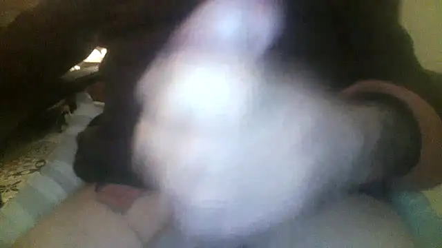 Patrickhound online show from 11-19-25, 03:39