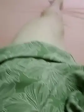 curtindo-muito82 online show from 02-11-26, 12:26