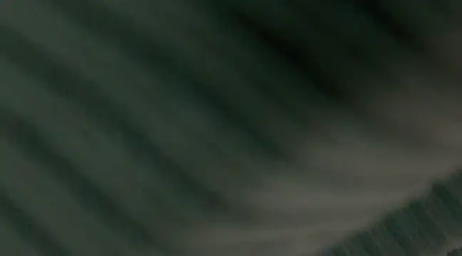 giselao online show from 01-15-25, 04:15