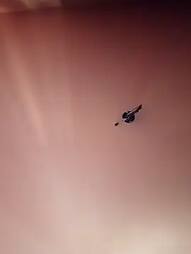 Snapshot of BR_master chatting on 09-19-25, 10:16 BR master online show from 09-19-25, 10:16