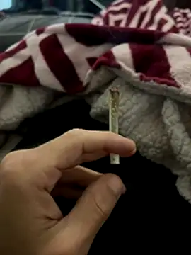 BCFZD online show from 12-04-25, 03:27