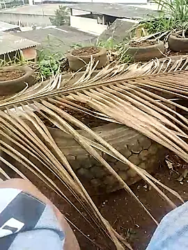 safado0027 online show from 10-15-25, 06:41