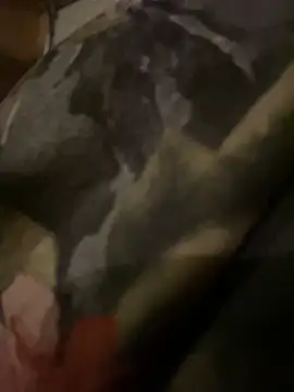 QTeepye online show from 02-19-26, 04:41