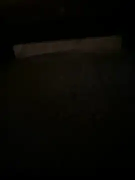 QTeepye online show from 04-16-26, 05:30