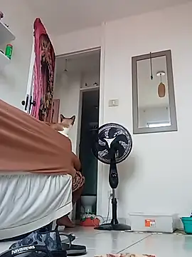 Snapshot of Munnoki chatting on 04-02-26, 09:29 Munnoki online show from 04-02-26, 09:29