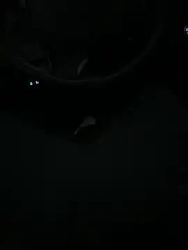 Snapshot of DutchPublic chatting on 01-19-25, 04:36 DutchPublic online show from 01-19-25, 04:36