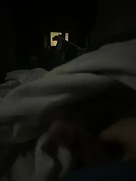 xnxpork online show from 01-21-25, 04:10