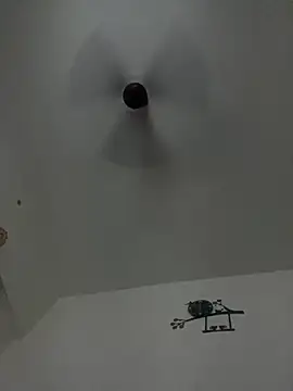 Snapshot of DrinkLikeFish chatting on 02-23-25, 12:19 DrinkLikeFish online show from 02-23-25, 12:19