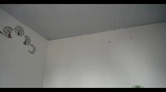 Snapshot of lana_roman chatting on 03-20-25, 08:08 lana roman online show from 03-20-25, 08:08