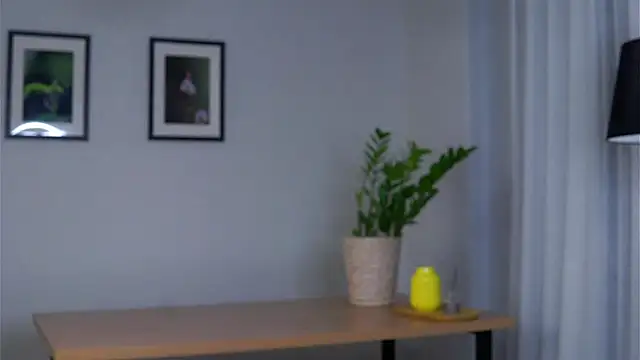HildaFerrett online show from 01-29-25, 01:07