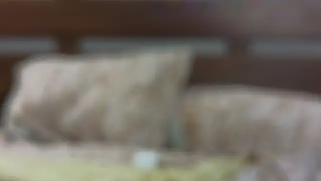SallyCha online show from 02-18-25, 12:15