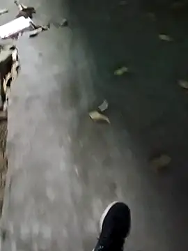 Raj41 online show from 01-13-26, 02:44