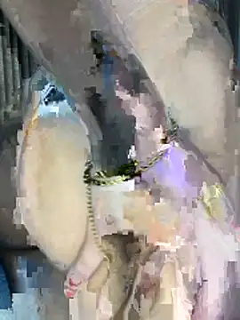 perolaa8 online show from 03-17-26, 05:05