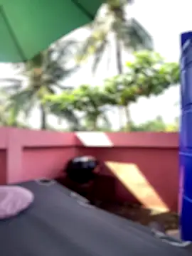 Snapshot of White_Lu chatting on 09-25-25, 02:04 White Lu online show from 09-25-25, 02:04