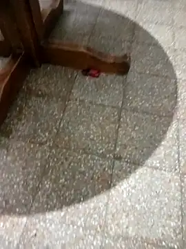 parejarica420 online show from 03-06-26, 08:38