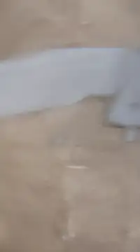 Snapshot of laxmitelugu78 chatting on 02-02-25, 07:25 laxmitelugu78 online show from 02-02-25, 07:25