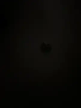 Snapshot of Boneca25 chatting on 02-05-26, 08:30 Boneca25 online show from 02-05-26, 08:30