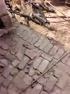 xmanrawan2 online show from 02-17-26, 07:16