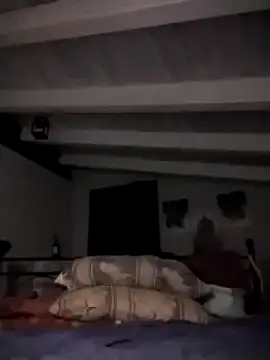 Snapshot of divinaerotica chatting on 11-02-25, 05:48 divinaerotica online show from 11-02-25, 05:48