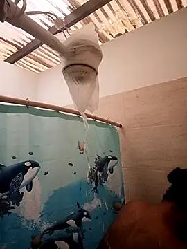 Snapshot of Zaira_Rose_ chatting on 02-24-26, 01:09 Zaira Rose online show from 02-24-26, 01:09