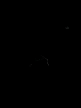 Snapshot of Codybugs0206 chatting on 11-22-25, 11:59 Codybugs0206 online show from 11-22-25, 11:59