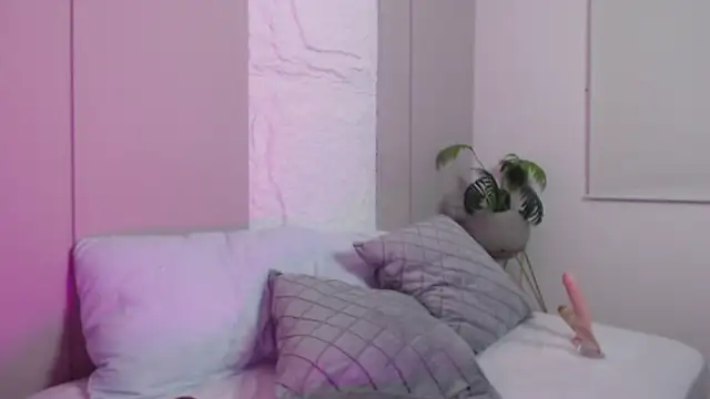 dalila harris online show from 02-12-26, 12:55