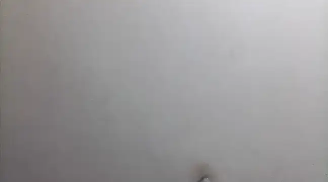 Snapshot of beatle666 chatting on 02-26-25, 02:15 beatle666 online show from 02-26-25, 02:15