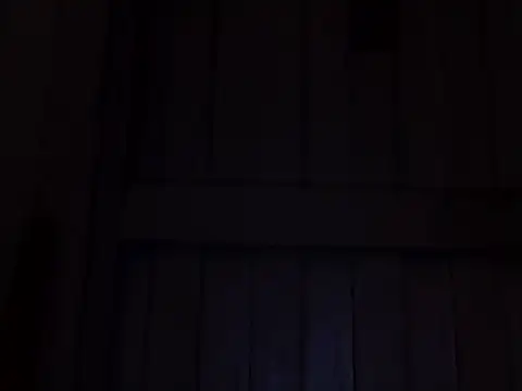 beatle666 online show from 11-07-25, 02:11