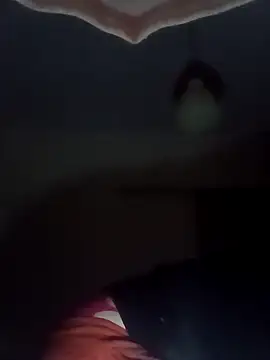 Snapshot of ginger_1_1 chatting on 02-16-25, 03:58 ginger 1 1 online show from 02-16-25, 03:58