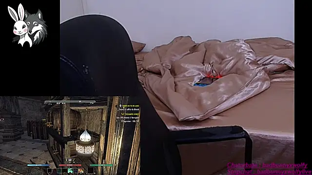 BadBunnyXWolfyLive online show from 11-14-25, 01:32