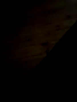 Arabian online show from 02-11-25, 09:46