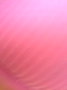 Dulce  Boyd online show from 11-11-25, 01:44