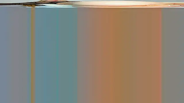rouss witt online show from 03-07-25, 08:22