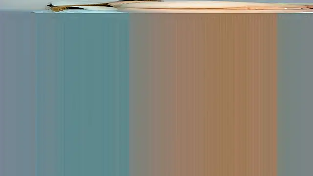 rouss witt online show from 03-07-25, 11:27