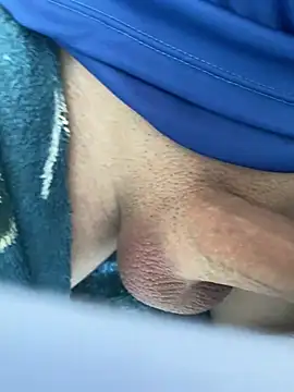 obranquinho21cm online show from 03-10-25, 11:10