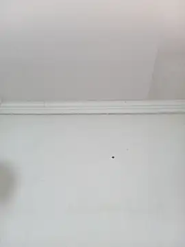 Kylie6lack online show from 10-01-25, 08:15