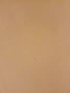 Snapshot of Bigdicklove42x chatting on 01-15-26, 04:50 Bigdicklove42x online show from 01-15-26, 04:50