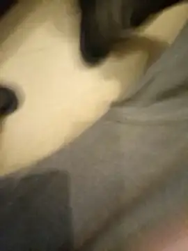 Snapshot of flo000031 chatting on 01-14-26, 03:28 flo000031 online show from 01-14-26, 03:28