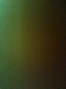 Snapshot of PPP-30 chatting on 02-20-25, 01:40 PPP-30 online show from 02-20-25, 01:40