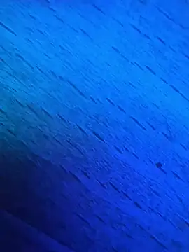 GmG2029 online show from 03-01-25, 06:54