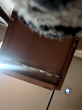 QueenM3 online show from 03-11-25, 12:44