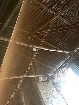 Snapshot of BorNa18 chatting on 03-17-26, 05:55 BorNa18 online show from 03-17-26, 05:55